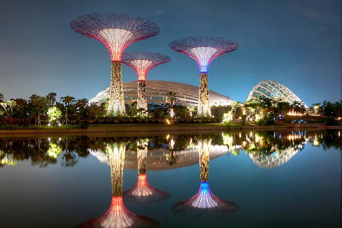 Cloud Forest + Supertree Observatory - Accessibility and Convenience