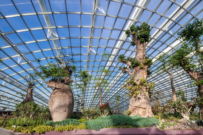 Cloud Forest + Supertree Observatory - Cancellation and Reservations