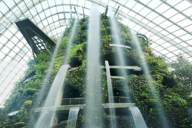 Cloud Forest + Supertree Observatory - Ticket Redemption Process