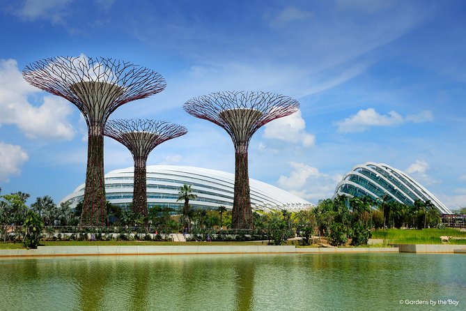 Cloud Forest + Supertree Observatory - Nighttime Light Show