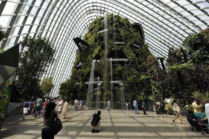 Cloud Forest + Supertree Observatory - Essential Travel Tips