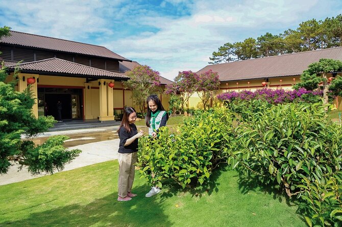 Cloud Hunting - Experience Dalat Special Products - Traveler Reviews and Ratings