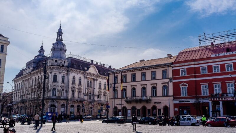 Cluj-Napoca: 2.5-Hour Guided Walking Tour - Meeting Point and Accessibility