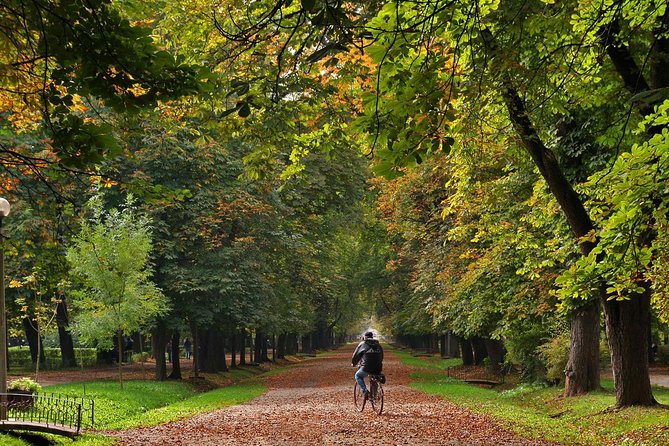 Cluj-Napoca Walking City Tour - Tour Accessibility and Recommendations