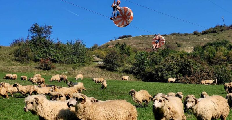 Cluj: Outdoor Activities Day Trip With Zip Line and Hike - Itinerary Details