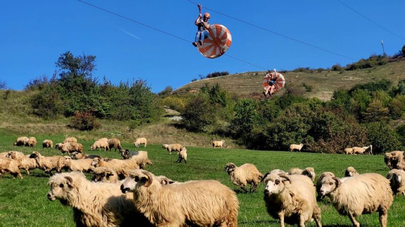 Cluj: Outdoor Activities Day Trip With Zip Line and Hike - Inclusions and Exclusions