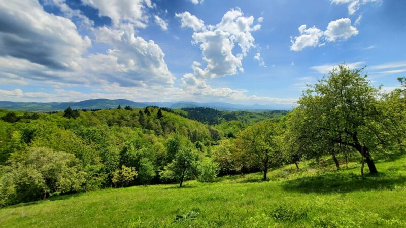 Cluj to Rosia: Day Trip to Ferrata and Pittoresque Country - Itinerary and Activities