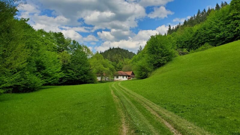 Cluj to Rosia: Day Trip to Ferrata and Pittoresque Country - Adventure Options