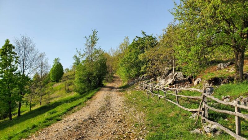 Cluj to Rosia: Day Trip to Ferrata and Pittoresque Country - Inclusions and Requirements