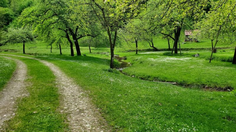 Cluj to Rosia: Day Trip to Ferrata and Pittoresque Country - Important Information and Recommendations