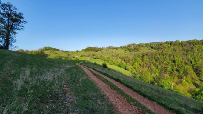 Cluj to Rosia: Day Trip to Ferrata and Pittoresque Country - Customer Reviews