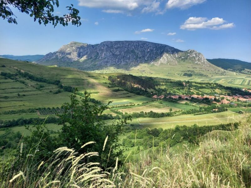 Cluj: Turda Salt Mines, Rimetea, and Coltesti Fortress Tour - Participant Information