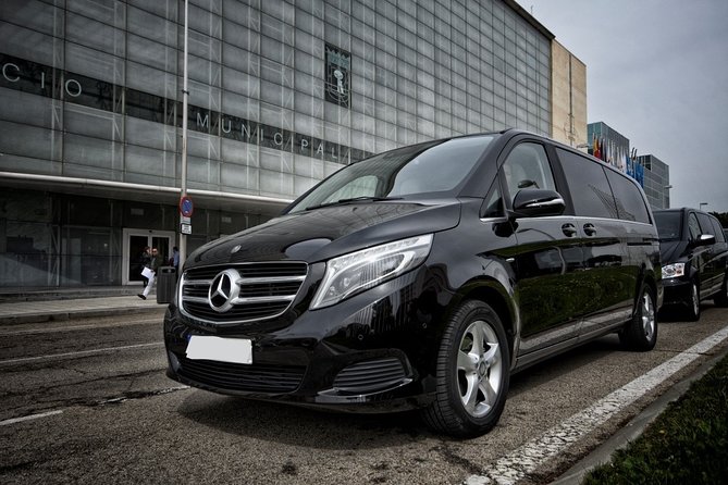 CO2-Offset Arrival Transfer Warsaw Airport WAW to Warsaw City - Professional Chauffeur and Meet-and-Greet
