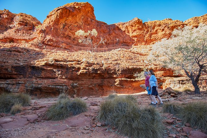 Coach Transfer From Ayers Rock (Uluru) to Kings Canyon - Accessibility Information
