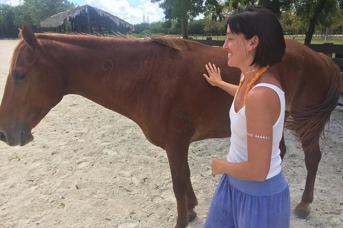 Coaching With Horses in Dominican Republic - Pricing and Policies