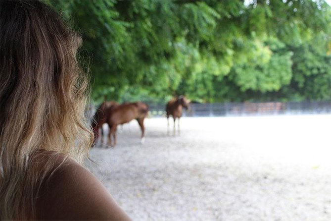 Coaching With Horses in Dominican Republic - Private Tour Experience