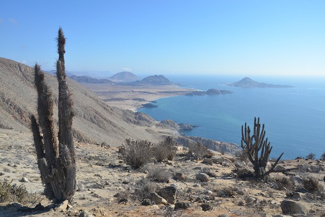 Coast and Atacama Desert English Bay and Sugar Loaf From La Serena - Pickup and Meeting