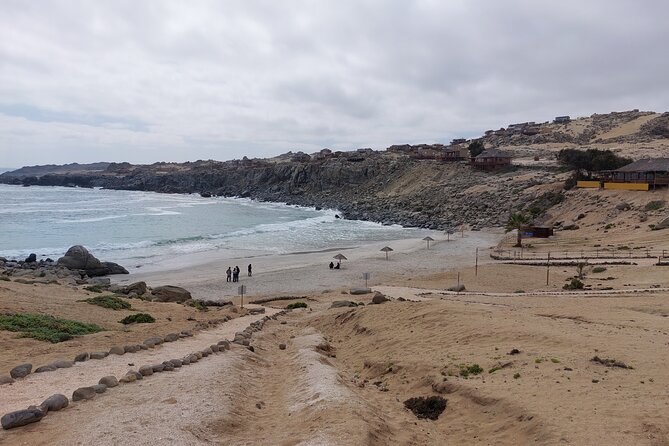 Coast and Atacama Desert English Bay and Sugar Loaf From La Serena - Accessibility and Participation
