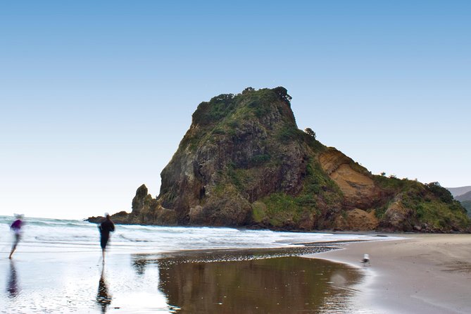 Coast and Rainforest Eco-Tour From Auckland With Lunch - Important Considerations