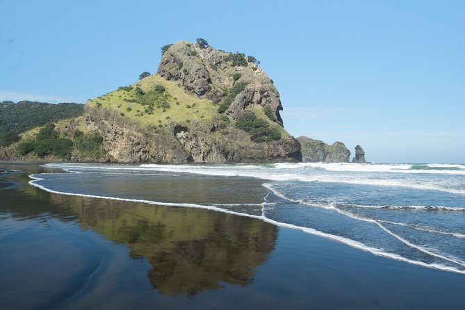 Coast and Rainforest Eco-Tour From Auckland With Lunch - Picnic Lunch and Refreshments