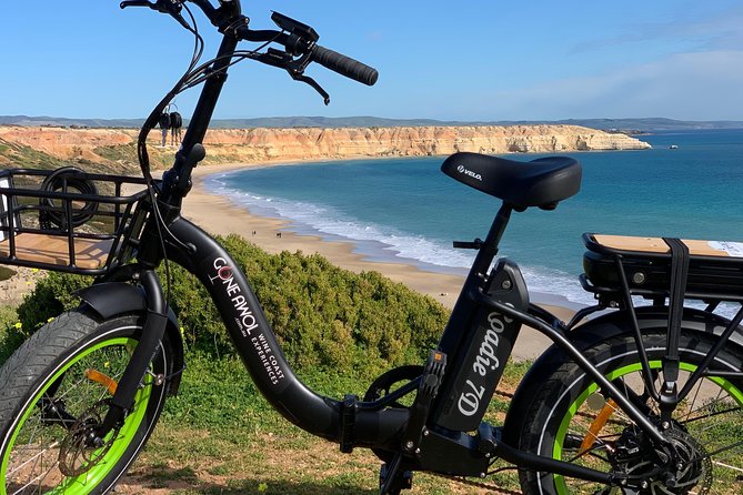 Coast to Vines: E-Bike*, Paddle Board and Wine Tour (2 Options) - Confirmation and Availability