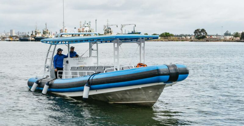 Coastal 2.5-Hour Adventure Boat Tour From Newcastle - Key Points