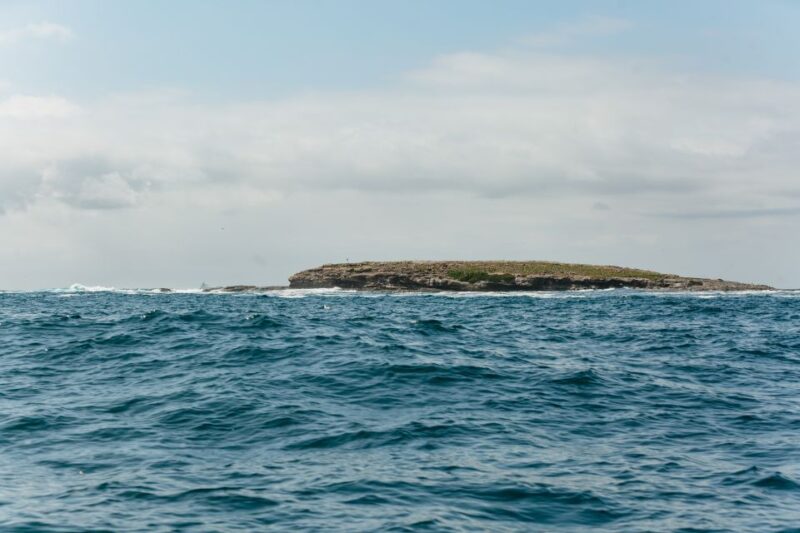 Coastal 2.5-Hour Adventure Boat Tour From Newcastle - Meeting Point