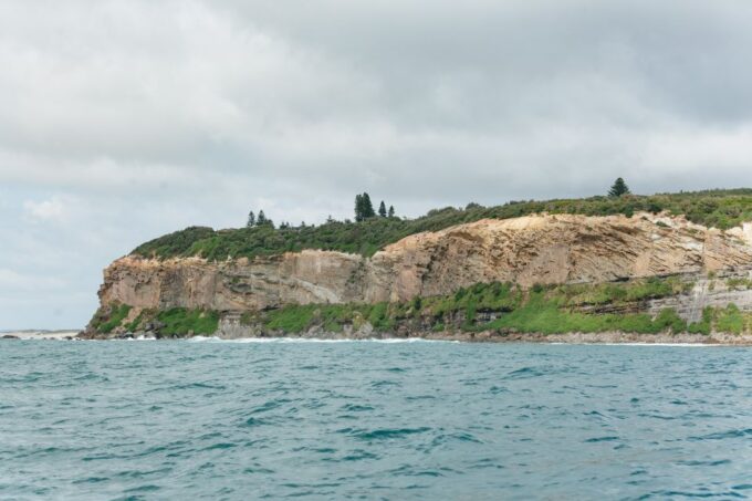 Coastal 2.5-Hour Adventure Boat Tour From Newcastle - Price and Booking