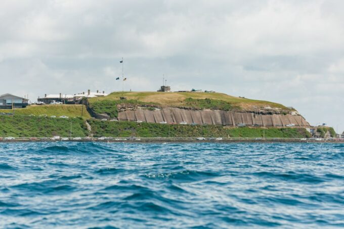 Coastal 2.5-Hour Adventure Boat Tour From Newcastle - Recap