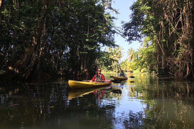 Coastal and River Kayaking Adventure at Marigot Bay - Customer Experiences