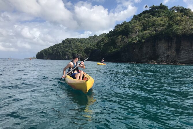 Coastal and River Kayaking Adventure at Marigot Bay - Tour Highlights