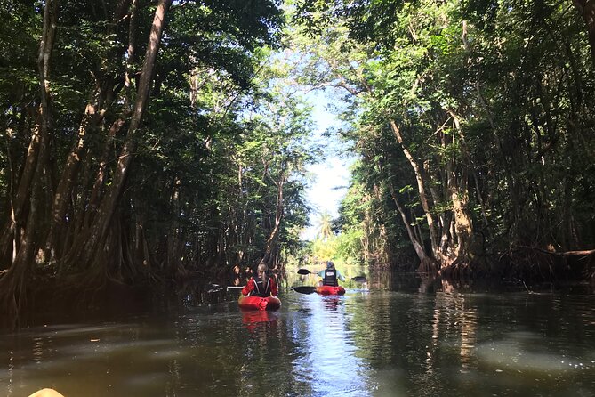 Coastal and River Kayaking Adventure at Marigot Bay - Meeting Point and End Point