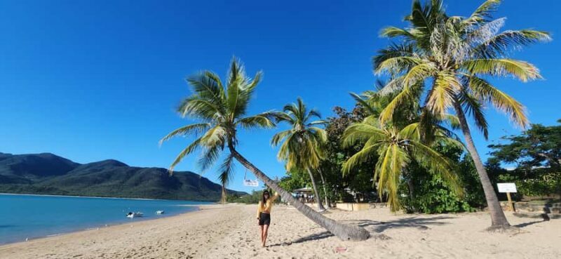 Coastal Beaches Adventures: Dingo Beach & Cape Gloucester - An In-Depth Look at the Tour