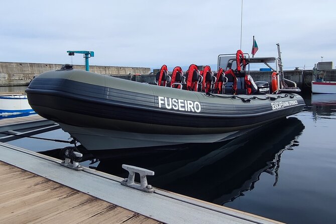 Coastal Boat Tour in Ribeira Grande and Porto Formoso - Tour Conditions