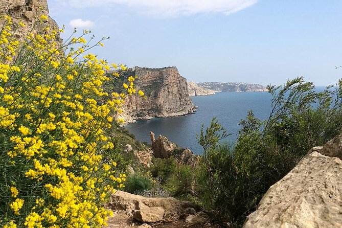 Coastal Cliffs & Beaches: Private Full Day Tour - Review Highlights
