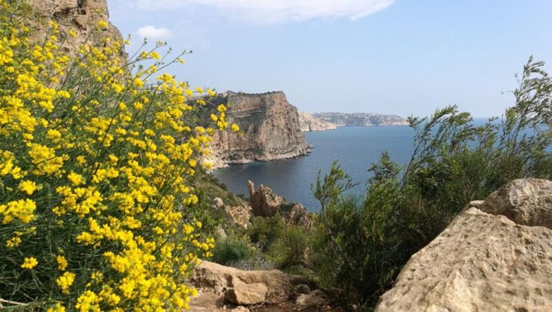 Coastal Cliffs & Beaches: Private Full Day Tour - Delicious Local Lunch