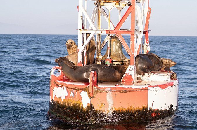 Coastal Cruise on Yacht in Santa Barbara - Pricing and Value