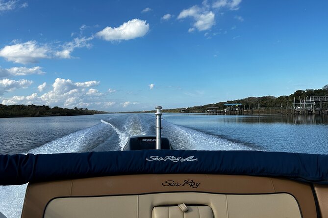 Coastal Discovery Cruise - Exploring the Marine Ecosystem