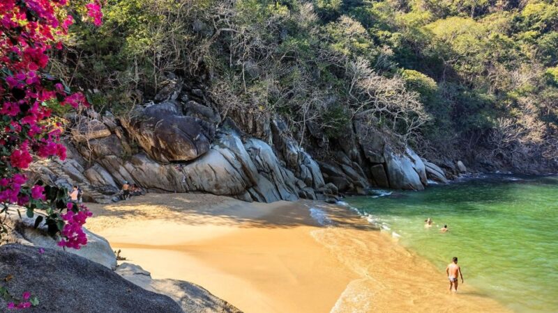 Coastal Gems Expedition With a Certified Tour Guide - Experience Highlights