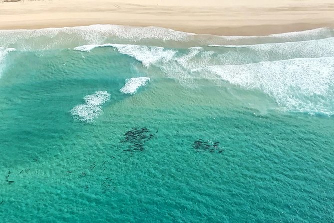 Coastal Helicopter Flight - 20 Minutes - Booking Information
