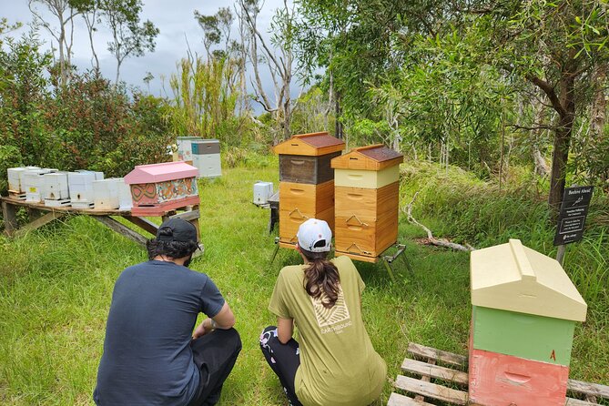Coastal Nature Full-Day Walking Tour in Lennox Head - Health and Accessibility