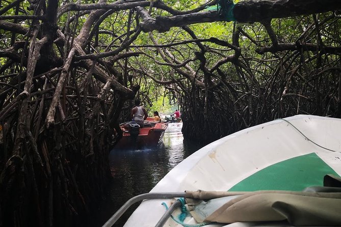 Coastal Ride to Galle From Colombo Seaport - Exploring Madu Ganga