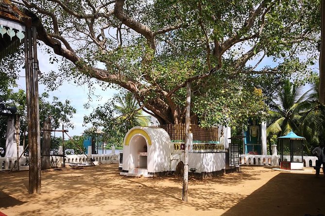 Coastal Ride to Galle From Colombo Seaport - Optional Excursion Upgrades