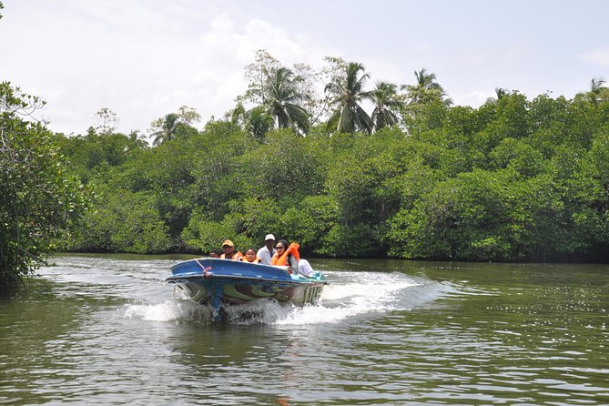 Coastal Ride to Galle From Colombo Seaport - Inclusions and Exclusions