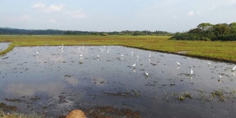 Coastal Village Cycling Expedition in Galle - Itinerary Details