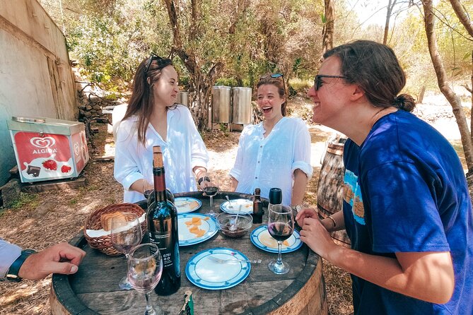 Coastal Vineyards: A Dream Wine Tour to Elaphiti Islands - Meeting Point and Tour Details