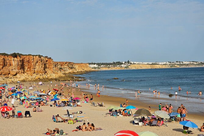 Coastal White Villages and Beaches Private Day Trip From Seville - Beaches and Surfing