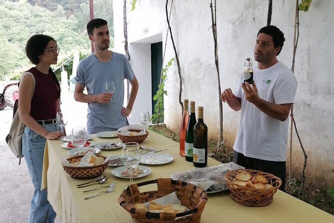Coastal Winery Camino Trail Walking Tour From San Sebastian - Health and Accessibility Notes