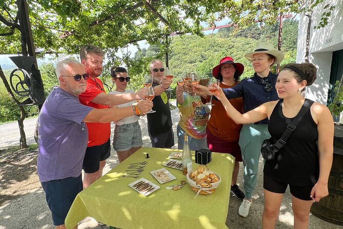 Coastal Winery Camino Trail Walking Tour From San Sebastian - Discovering the Txakoli Winery