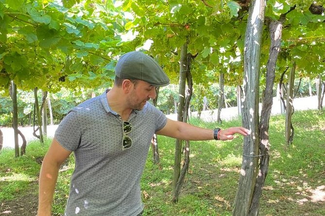 Coastal Winery Camino Trail Walking Tour From San Sebastian - Exploring the Farmers Market